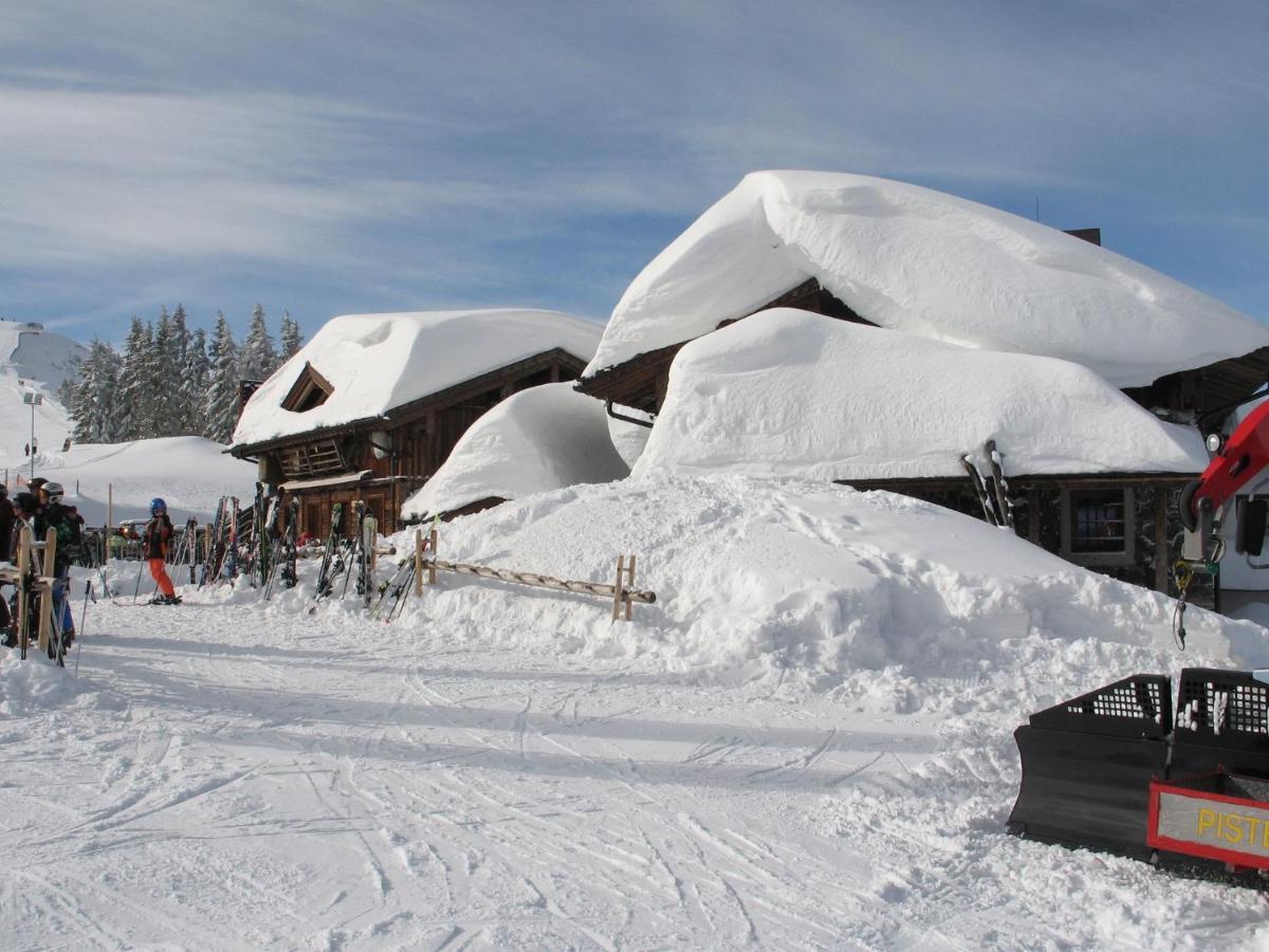 Apartment In Salzburgerland Near The Ski Area Фихофен Экстерьер фото