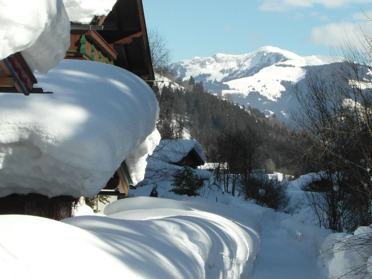 Apartment In Salzburgerland Near The Ski Area Фихофен Экстерьер фото
